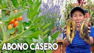 ABONO CASERO Revitalizante RICO en nutrientes 🌱 Fertilizante Líquido Casero para Plantas [upl. by Ahsikyt]