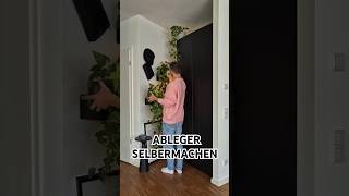 EfeututenAbleger einfach selbermachen plants propagation sustainable urbanjungle plantlover [upl. by Analahs184]