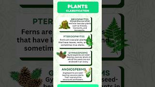 Plant Kingdom classificationClassification of plantpteridophytes angiosperms shortsbryophytes [upl. by Ahsaela]