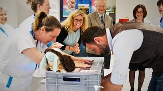 Des stands pour la Journée Mondiale de l’Hygiène des Mains [upl. by Oswal497]