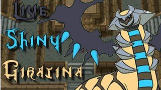 LIVE Encounter Shiny Giratina 3380 Resets [upl. by Firmin263]