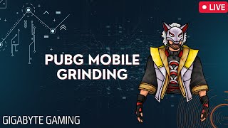 Trying to get Diamond Rank in PUBG MOBILE Emulator  grandcityroleplay [upl. by Hedges319]