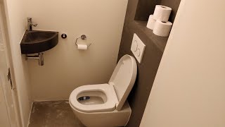 Lockdown toilet renovation [upl. by Lavella868]