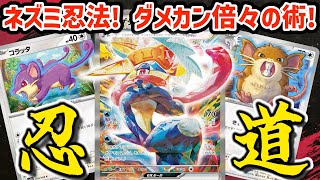 【ポケカ対戦】最強コンボ！！コラッタを従えるゲッコウガexの忍術をお見せしよう！！ [upl. by Alleda]