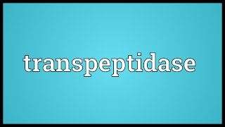 Transpeptidase Meaning [upl. by Noyek]