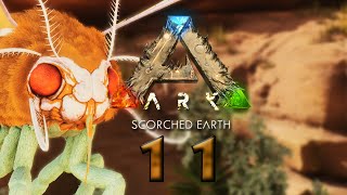 ARK SURVIVAL ASCENDED SCORCHED EARTH  11 Mottenjagd [upl. by Aryaz211]