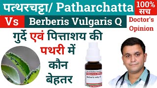 Berberis Vulgaris Q amp Patharchatta plant for kidney stone Berberis vulgaris Homeopathic medicine [upl. by Martainn]