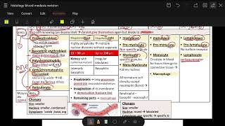 hematopoiesis revision in only 20 min [upl. by Corb]