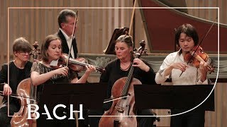 Bach  Concerto for two violins in D minor BWV 1043  Sato and Deans  Netherlands Bach Society [upl. by Acsirp]