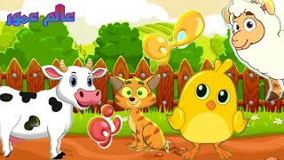 كتكوت اغنية الحيوانات للأطفال Animals songكتكوت خروف قطة قناة عالم عمور وأغاني بيبي وكتاكيت [upl. by Allebasi]