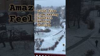 sweden snowfall 2024shorts europe snowlovers snowlover shortsfeed viralvideos shortvideos [upl. by Yenruoc688]