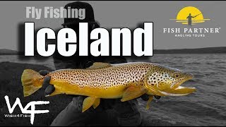 W4F  Fly Fishing Iceland quotWish4Fish and Fish Partnerquot [upl. by Lawson374]