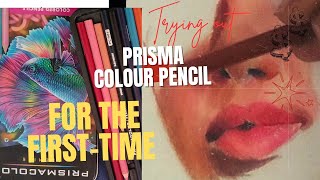 Trying Prisma Colour Pencil for the first time youtubeshorts art drawing realistic [upl. by Eilerua]