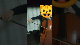 E Elgar cello concerto in E minor Ⅰ Adagio Moderato 2020 [upl. by Yael466]