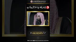 3 Cheezo Ka Waseela Islam Mein Jaiz Hai  Qari Sohaib Ahmed Meer Muhamamdi iirctv viral shorts [upl. by Nedyaj]