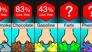 Comparison Favorite Smells [upl. by Sokil557]