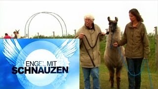 Tiergestützte Therapie TherapieLamas [upl. by Nitsirhc500]