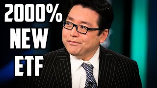 Tom Lee’s Explosive New ETF Top 35 Stocks for Massive Gains 2025 [upl. by Attinahs350]