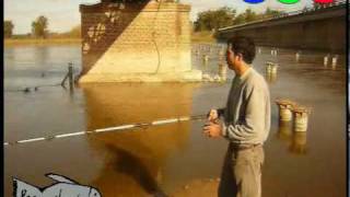 pesca puente el guerrero ruta 2 río salado Tutorial del asado pescador [upl. by Andria]