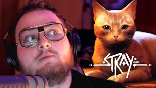 JAK TO S KOČIČÁKEM DOPADNE  Stray 2 [upl. by Anaid999]