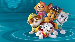 PAW Patrol  theme song German Toggolino version [upl. by Adim385]