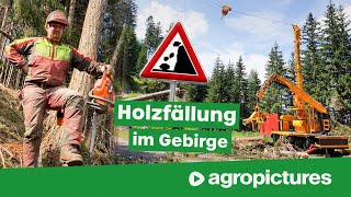 Holzernte mit Seilbahn am Steilhang  TST forestry 600 Gebirgsharvester und TST Timbernator [upl. by Eadas944]