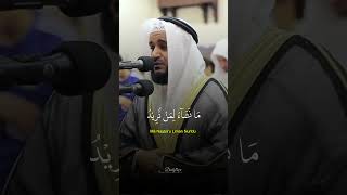 Beautiful Quran Recitation [upl. by Blythe895]