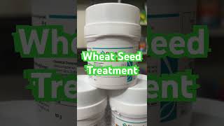 Wheat seed Treatment by Syngenta DIVIDEND  syngenta agriculturetechnology [upl. by Roosnam]