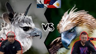 Americans React To The Philippines Eagle VS The Harpy Eagle  Who is the king of the eagles [upl. by Natanoj]