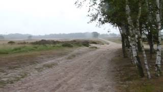 Kalmthoutse heide [upl. by Makell]