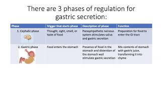 Regulation of Gastric Secretion [upl. by Ayiotal]