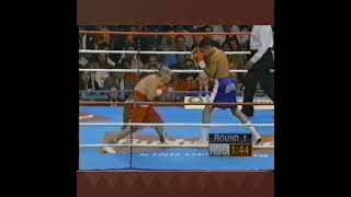 Óscar de la Hoya 🆚 Jorge Maromero Paez  boxing fight nocaut [upl. by Kynthia159]