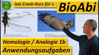 Phylogenetische Systematik Teil 4 Homologie als Beleg für die Evolution  with english subtiles [upl. by Siddon512]