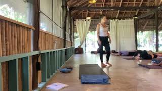 Using Grounding for Proper Elongation  Alignment Yoga Class with Tal Swissa [upl. by Onitsuaf]