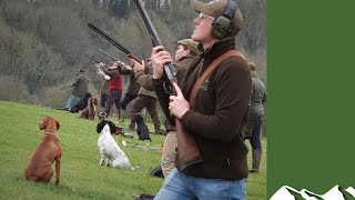 How to teach gundogs on a summer simulated game day [upl. by Dace]