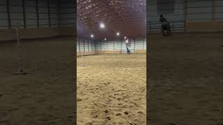 Mighty is getting consistent 😝 polebending horse equestrian rodeo barrelhorse [upl. by Namref666]