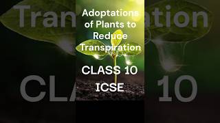 Transpiration in Plants biology icsebiology10 [upl. by Adhern]