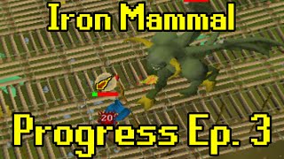 Oldschool Runescape  2007 Iron Man Progress Ep 3  Iron Mammal [upl. by Adnil71]