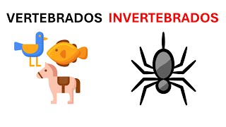 Cuales son los animales vertebrados y invertebrados [upl. by Itsirc]