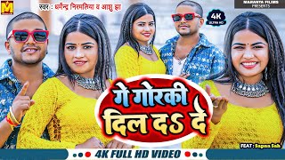 Video  गे गोरकी दिल द दे  Dharmendra Nirmaliya New Song  Ge Gorki Dil Da De  Aashu Jha [upl. by Jorge]