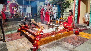 🔥Maa Aghorakaali Hawan 🔥 🔴 Live From Trichy [upl. by Bern]