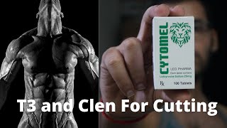 T3  Cytomel and Clenbuterol For Fat Loss In Hindi [upl. by Arrik]