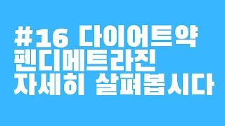 16 다이어트약 펜디메트라진성분 자세하게 알아봅시다디에트푸링 [upl. by Dewhurst]