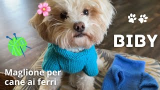 🌸 Maglione per cane ai ferri 🐶🐾🧶 Biby [upl. by Aleyam]