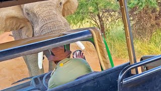 Elephant Picks up and Throws Truck full of Tourists [upl. by Larson]