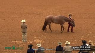 A Judges Perspective 2017 AQHA Select Showmanship World Champion [upl. by Macur]