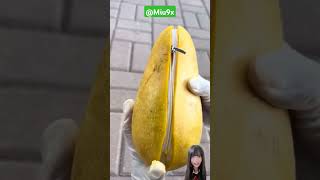 wallet ng mangga funny reaction beauty facts comedy fypシ゚viral [upl. by Lednik]