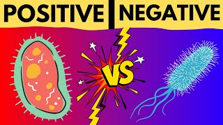 GRAM POSITIVE VS GRAM NEGATIVE BACTERIA  GRAM STAINING TECHNIQUE MADE EASY  EXPLAINED IN 5 MINUTES [upl. by Klinger]