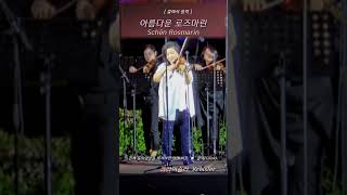 아름다운 로즈마린 Schön Rosmarin  작곡 크라이슬러 kreisler  클래식 음악  Classical music [upl. by Mallon]