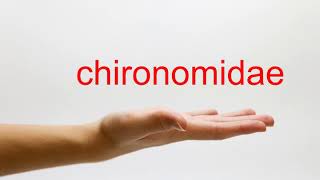 How to Pronounce chironomidae  American English [upl. by Illehs986]